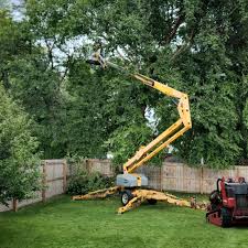 Best Commercial Tree Services  in Jackson, WI