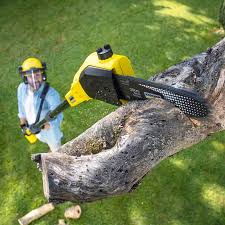 Lawn Maintenance Plans in Jackson, WI