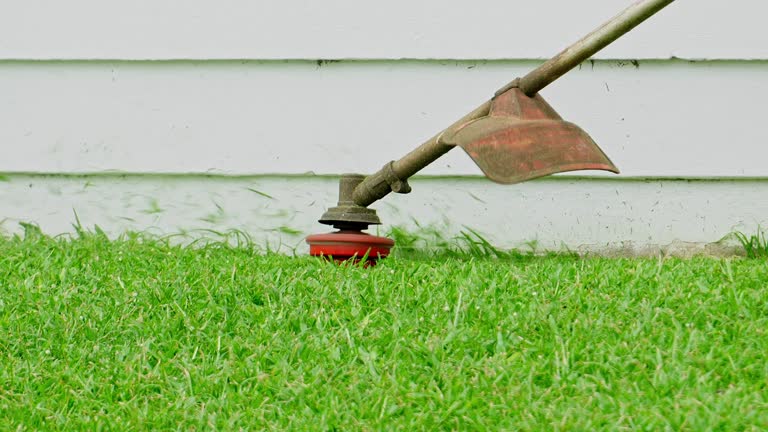 Best Tree Health Inspection  in Jackson, WI