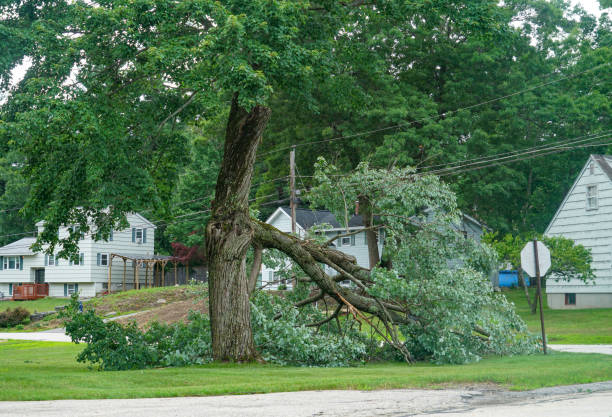 Best Seasonal Cleanup (Spring/Fall)  in Jackson, WI